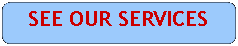 Rounded Rectangle: SEE OUR SERVICES